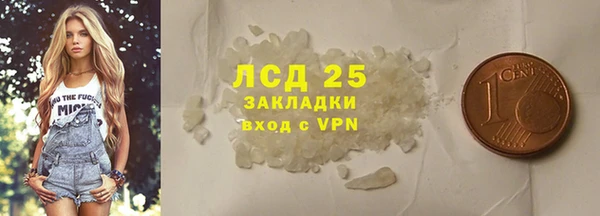 хмурый Бородино