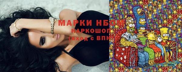 хмурый Бородино