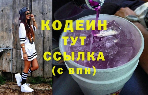 хмурый Бородино