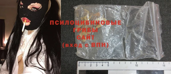 хмурый Бородино