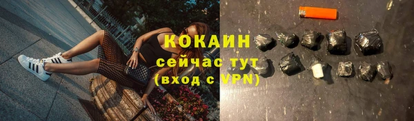 хмурый Бородино